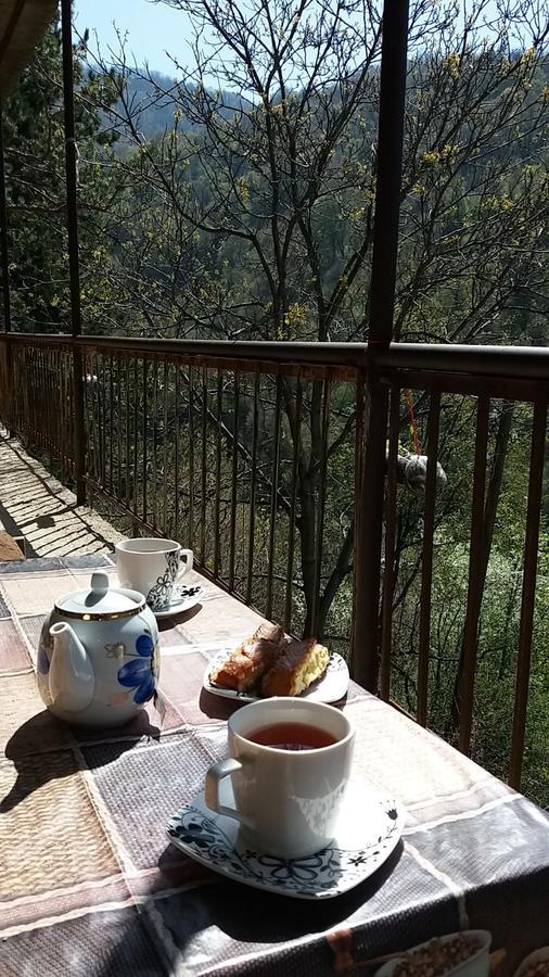 Arami Guest House Dilijan Eksteriør billede